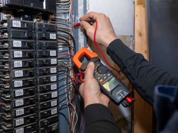 Best Ceiling Fan Installation Electrician  in Three Oaks, FL